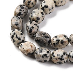 Natural Dalmatian Jasper Beads Strands&nbsp;G-G146-A24-01