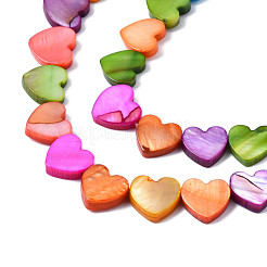 Natural Freshwater Shell Beads Strands&nbsp;SHEL-S278-023