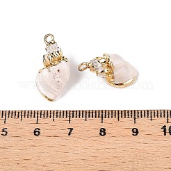 Natural Sea Shell Pendants&nbsp;SSHEL-N038-42