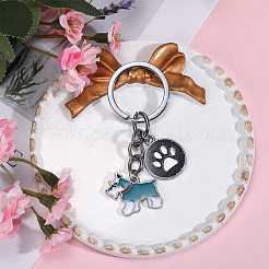 Alloy Enamel Keychains&nbsp;KEYC-SW00007-04