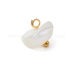 Natural Trochus Shell Nuggets Charms&nbsp;PALLOY-JF03439-01
