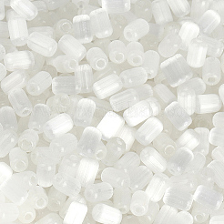 600Pcs Drawbench Style Glass Seed Beads&nbsp;SEED-PA0001-25B