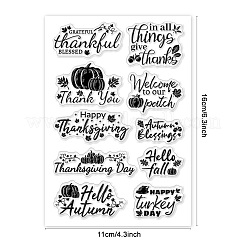PVC Plastic Clear Stamps&nbsp;DIY-WH0631-0379