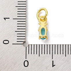 Rack Plating Brass Micro Pave Cubic Zirconia Charms&nbsp;KK-F881-03G-05