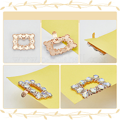 2Pcs Alloy & Glass Shoe Buckle Clips&nbsp;AJEW-WR0002-33