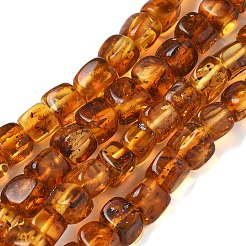 Natural Amber Beads Strands&nbsp;G-K387-E01-01