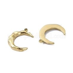 304 Stainless Steel Pendants&nbsp;STAS-L022-336G
