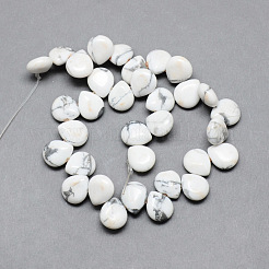 Natural Howlite Gemstone Beads Strands&nbsp;G-T005-17