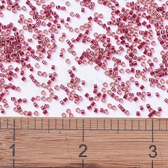 MIYUKI Delica Beads&nbsp;SEED-JP0008-DB0282