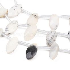 Natural White African Opal Beads Strands&nbsp;G-P607-A02-01