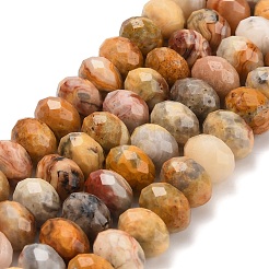 Natural Crazy Agate Beads Strands&nbsp;G-C259-A04-8x12mm
