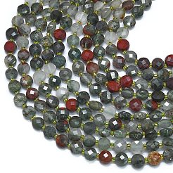 Natural African Bloodstone Beads Strands&nbsp;G-K389-B64-01