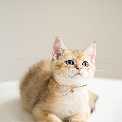 304 Stainless Steel Pendant Necklaces for Pet&nbsp;NJEW-DR00003