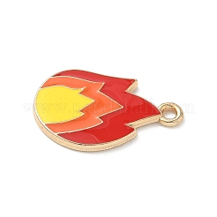 Alloy Enamel Pendants&nbsp;FIND-C074-01J