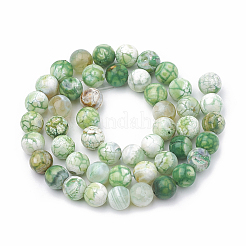 Dyed Natural Crackle Agate Beads Strands&nbsp;G-T100-03E