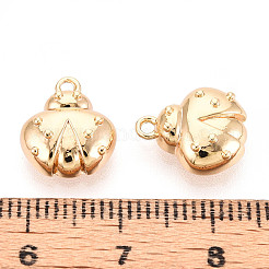 Brass Charms&nbsp;KK-N267-05G
