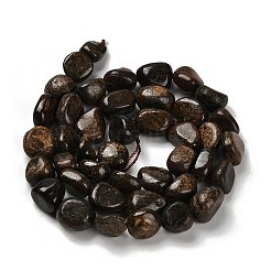 Natural Bronzite Beads Strands&nbsp;G-P497-01E-77