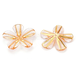 Transparent Acrylic Beads&nbsp;TACR-T028-18A