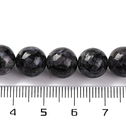 Natural Feldspar Beads Strands&nbsp;G-NH0033-A01-03