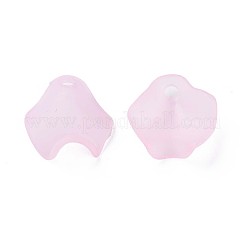 Transparent Acrylic Beads&nbsp;MACR-S373-106-D05