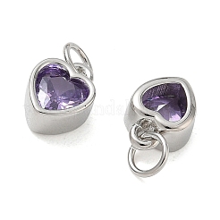 Brass Pave Cubic Zirconia Charms&nbsp;CU-CBABEB3-02P