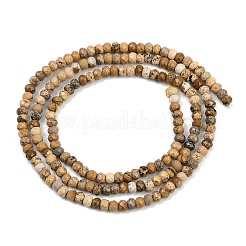 Natural Picture Jasper Beads Strands&nbsp;G-P572-A01-01