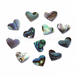 Natural Abalone Shell/Paua Shell Cabochons&nbsp;SSHEL-N034-117