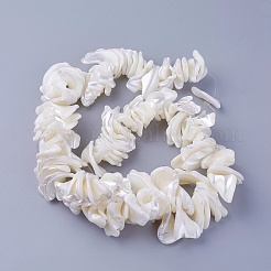 Natural Shell Beads Strands&nbsp;SSHEL-E571-40