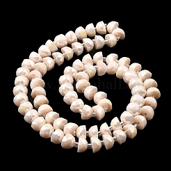 AB Color Plate Glass Beads Strands&nbsp;EGLA-P051-02A-B
