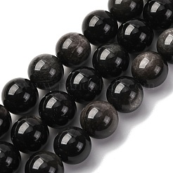 Natural Silver Sheen Obsidian Beads Strands&nbsp;G-F808-C01-16mm