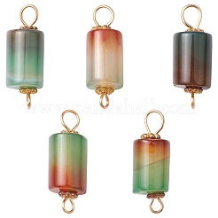 Natural Peacock Agate Connector Charms&nbsp;PALLOY-YW0001-54