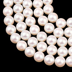 Electroplated Shell Pearl Beads Strands&nbsp;BSHE-C011-01C