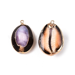 Natural Cowrie Shell Pendants&nbsp;SSHEL-N038-39