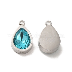 304 Stainless Steel Pendants&nbsp;STAS-A080-10P
