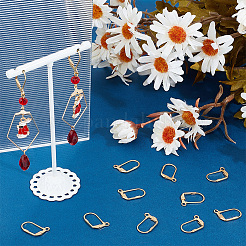 40Pcs 304 Stainless Steel Leverback Earring Findings&nbsp;STAS-BBC0003-92