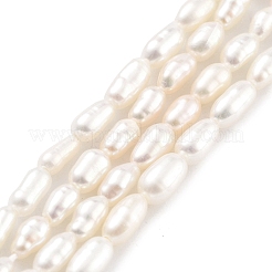 Natural Cultured Freshwater Pearl Beads Strands&nbsp;PEAR-P062-02C