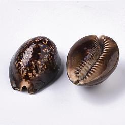 Natural Cowrie Shell Beads&nbsp;SSHEL-Q298-19