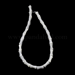 Natural Trochid Shell/Trochus Shell Beads Strands&nbsp;SH-CBA2978-12