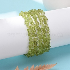 Unisex Chip Natural Peridot Beaded Stretch Bracelets&nbsp;BJEW-S143-51