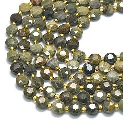 Natural Silver Leaf Jasper Beads Strands&nbsp;G-C116-A17-02