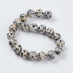 Natural Dalmation Jasper Beads Strands&nbsp;X-G-G515-10mm-06