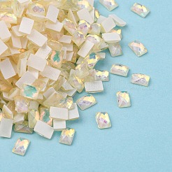 Flat Back Resin Rhinestone Cabochons&nbsp;MRMJ-T047-07D