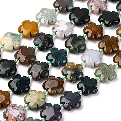 Natural Ocean Jasper/Ocean Agate Beads Strands&nbsp;G-D475-02D