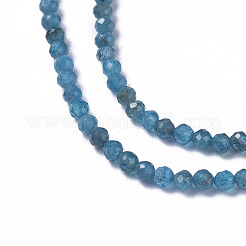 Natural Apatite Beads Strands&nbsp;X-G-F596-29-2mm
