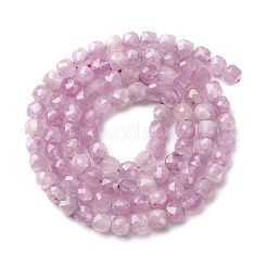 Natural Kunzite Beads Strands&nbsp;G-P587-C01-01