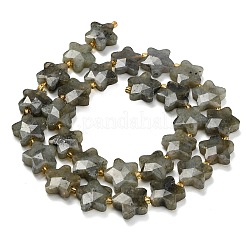 Natural Gray Labradorite Beads Strands&nbsp;G-L657-A02-01