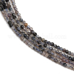Natural Iolite Beads Strands&nbsp;LS-G-RM2025-A47-A