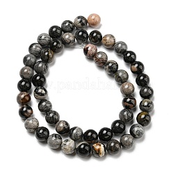 Natural Black Silver Leaf Jasper Beads Strands&nbsp;G-R494-A17-03