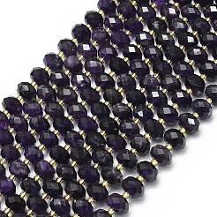 Natural Amethyst Beads Strands&nbsp;G-P573-A01-01