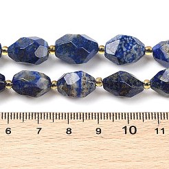 Natural Lapis Lazuli Beads Strands&nbsp;G-P541-A01-05